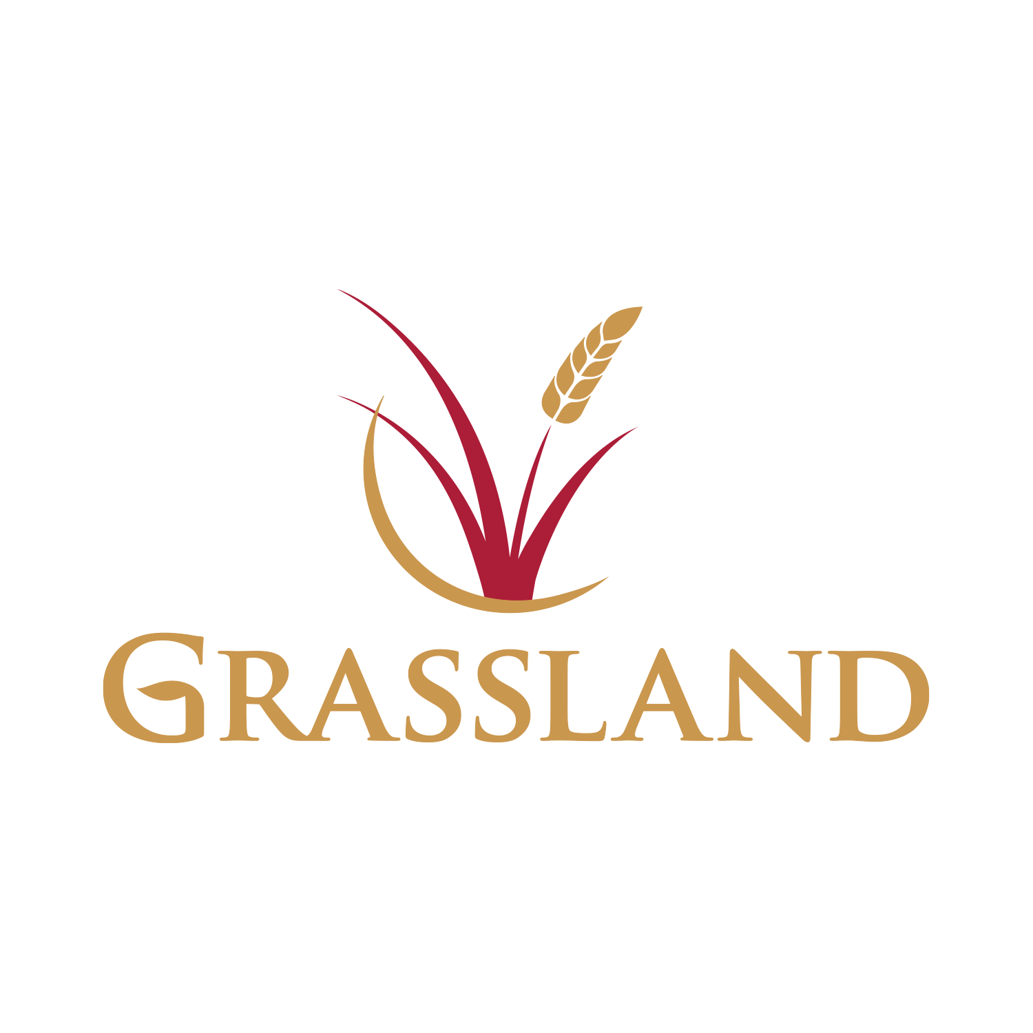 Grassland Homes Logo Design - Holyoke, CO Home Builder