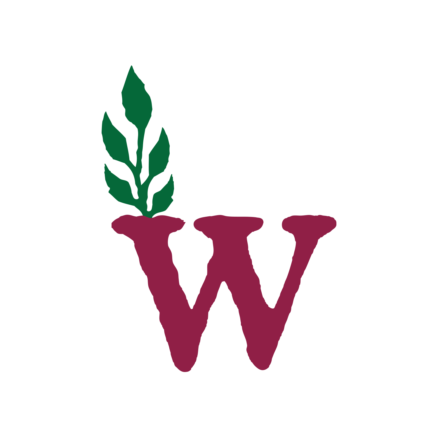 Wild Ferments Logo Design - Boulder, CO Food Brand